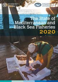 The State of Mediterranean and Black Sea Fisheries 2020
